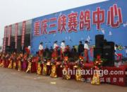 ������Ͽ�������Ŀ������(ͼ)