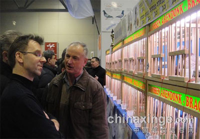 2014ʸչӰйҵչ(ͼ)