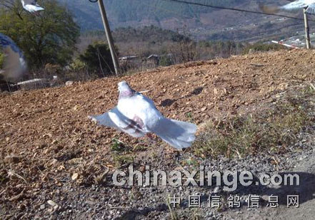 2014���һ��ѵ��(ͼ)