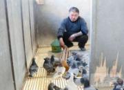 ���������˵İ�ζ����(ͼ)