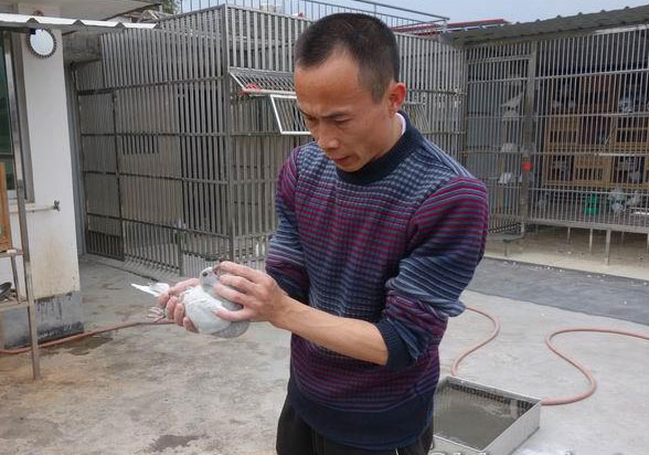 �ݷø�����ƽ��Эǰ�᳤����ͮ(ͼ)