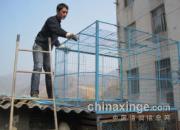 ����ɹ���¡�ɹ��(ͼ)