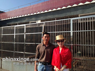 ����Ů�ϰ塰ǧ��Ѱ�롱ϵ��(��)