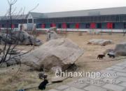 ɽ�������͹��ﴺ������ò(ͼ)