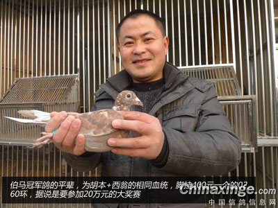 ����С����������ƽ�����ҵ