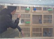 ���䶬ҹ���۲��Ÿ����(ͼ)