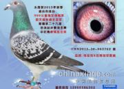 �����Ľ׶Σ�����������(ͼ)