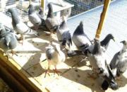 ѧ��������ա����Ⱥú������(ͼ)