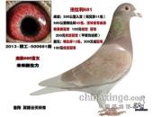 �ھ�681С�� ��������(ͼ)