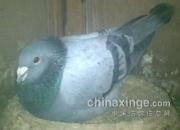 �ҵĵ�һ��ԣ����������(ͼ)