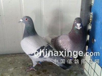 �ҵİ���ҲҪ�����˽�