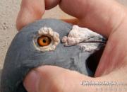 �ҵĳ�Զ�������ָ�