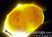 �޵�������ָ�ͬ����(ͼ)