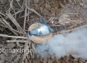 ����74�������ȥ �ҵ�ʧ��(ͼ)