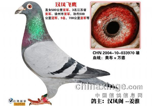 ʮ�겻�ܣ��㲻�㡰�ƽ���ԡ����˵˵(ͼ)