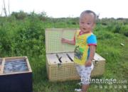 ���ϱ�������ȥѵ��(ͼ)