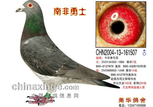 �������������ָ����ڴ�Ѫ��(ͼ)