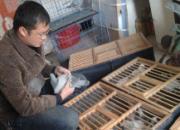 �������ָ�����ȫ����(ͼ)