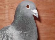 һ���������� �����Ӵ����λ(ͼ)