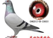 һ���������ĸ롰�������⡱(ͼ)