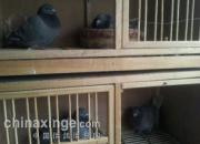 �ҵĸ�Ե��������������(ͼ)