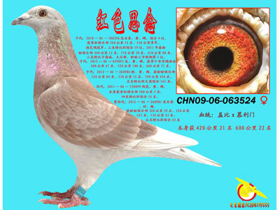 �����Ǩ �ָ����ݼ�������