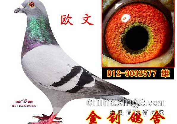 ���β���ԭ���� Ӧ�Զ��칫����(ͼ)
