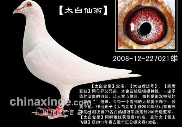 ������ֶ�䣺���ֲ���������(ͼ)