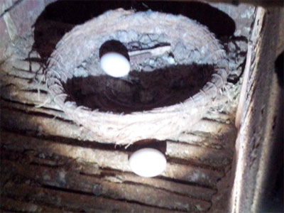 ������Σ����ע������