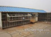 �ι������½��رȸ���(ͼ)