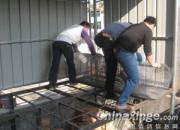 �����еĸ�����ƽ����Ұ���ᡱ(ͼ)