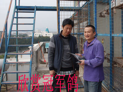 �ھ����Ѽ��룺�û����ȿ�״̬(ͼ)