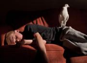 Ӣ�����Ծ��ֲ���ͼ����(ͼ)