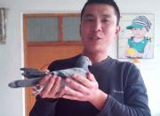 �úӱ�������ֲ������ۺϼ���(ͼ)