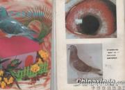 ɹɹ20��ǰ���ϸ���(ͼ)