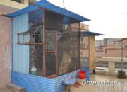 �����������·���ɹ���������(ͼ)