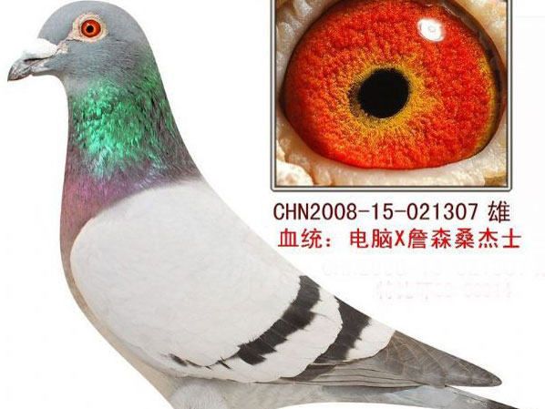 һ�������ָ���γ�ΪƷϵ(ͼ)