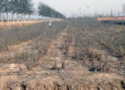 ��5�����ѵ��90����(ͼ)