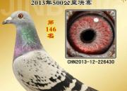 �������벻���� �ñ��Կ�̬��(ͼ)