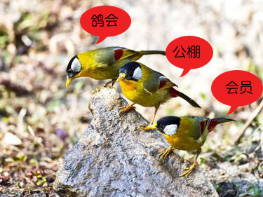 ����������ָ�ά��һʯ����˭���֣�
