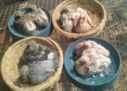 ���ڸ��£����ͷ�� ��������(ͼ)