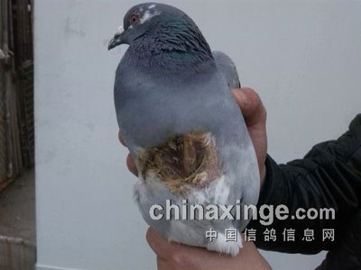 ��������200Ԫ�ر�(ͼ)