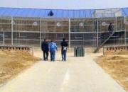 ��ɽ�������￴��(ͼ)