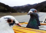 �˻��� ѵ��æ(ͼ)