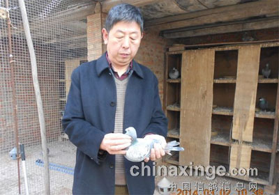 �ԻͶ�ʮ�꣺��ɽ��ʵսǿ���Ծ���ҵ(ͼ)