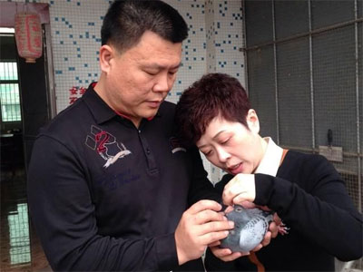 ����Ů�ϰ塰ǧ��Ѱ�롱ϵ��(��)