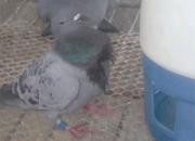 ������һ���©ʳ©ˮ(ͼ)