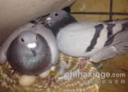 ���⡪���޻��۵���Ե(ͼ)