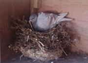 �������������(ͼ)