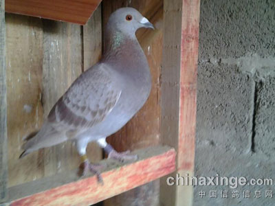 ���շ�Խ400��